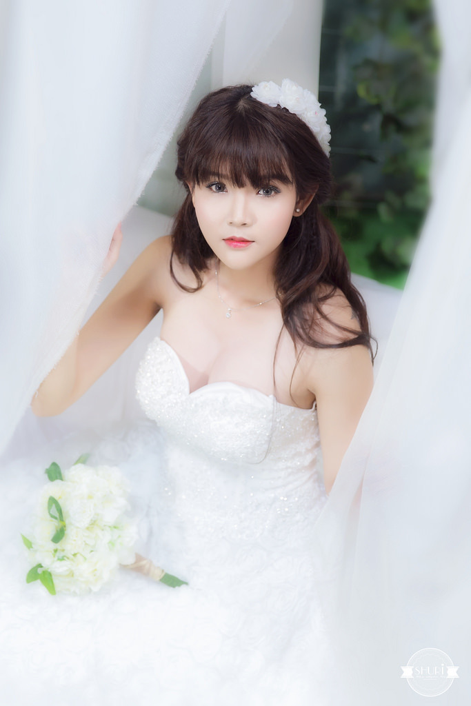 《暗黑精灵》全集免费观看